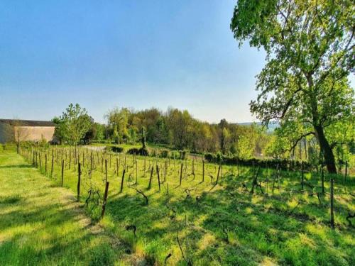 Thenon House | Farmhouse with private pool, large garden and playground