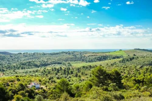 Vilanova d'Alcolea Cabin | FarmSKY 1 Double or Single Bedroom at WILD SPIRIT Eco Farm
