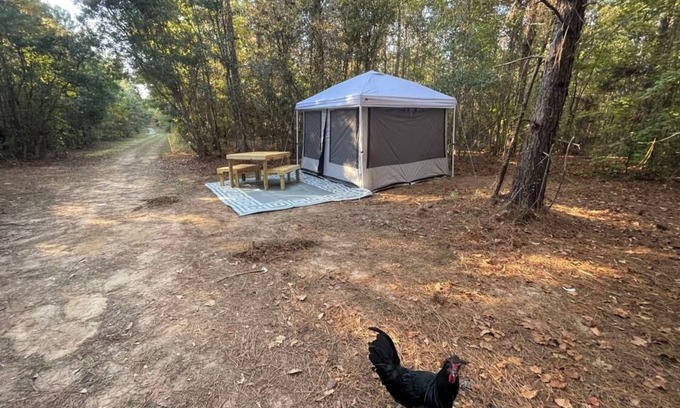 Tallahassee RV Rental | Farmstay- Buckbeak1 Tent/ScreenRoom
