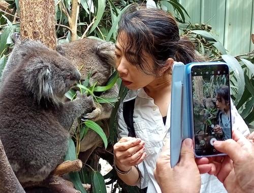 Lavers Hill House | Fauna Australia Wildlife Experience