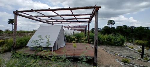 Dande Other | Fazenda Kizonga