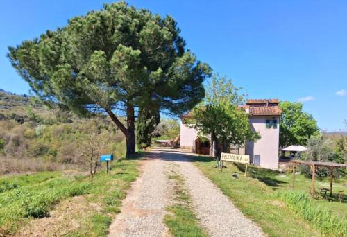 Rignano sull'Arno House | Felciolina - Medieval Country House