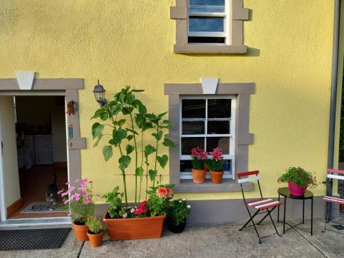 Kiltegan Bed & Breakfast | Felicity Cottage, W91 D1W3