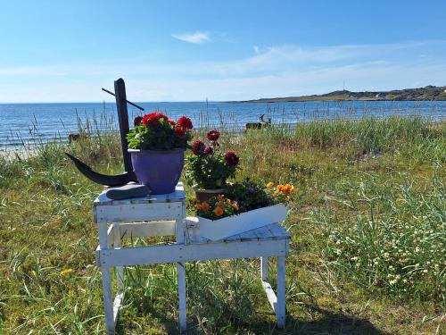 Kiberg House | Feriehus ved Barentshavet - Holiday home by the Barents Sea