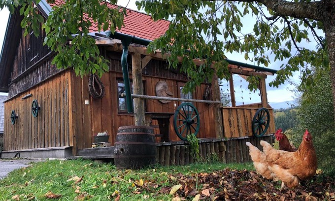 Langschlag Cabin | Ferienhaus FRIEDLHOF
