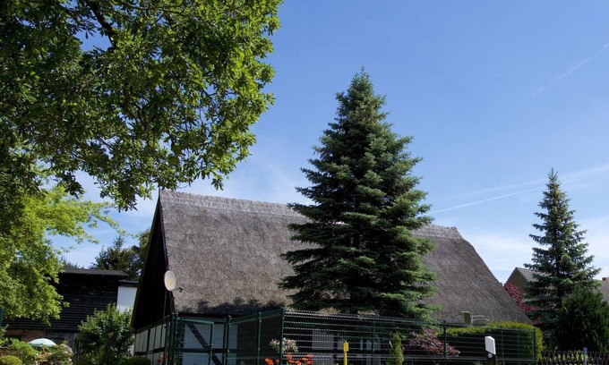 Ahlbeck House | Ferienhaus in Gegensee am Naturpark