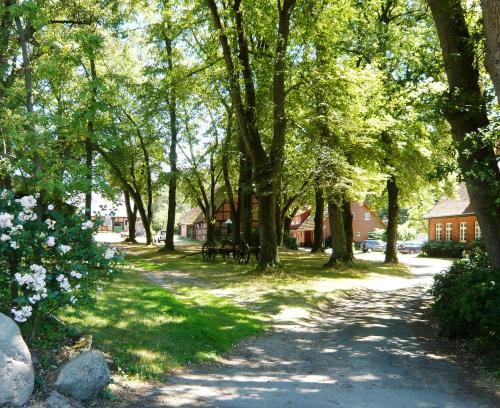 Marxen am Berge Apartment | Ferienpension Lindenhof - Ferienwohnungen in der Lüneburger Heide