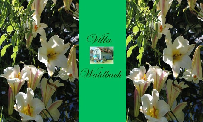 Krumpendorf am Woerther See Apartment | Ferienwohnung am Wörthersee Villa Waldbach