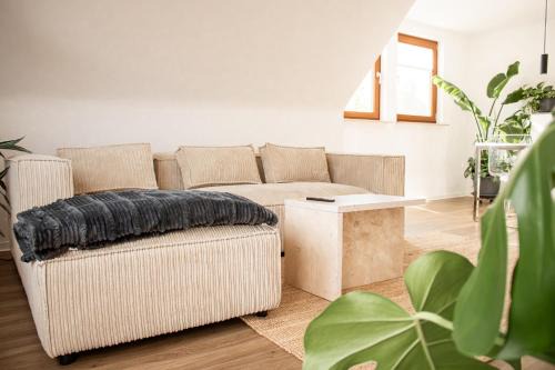 Oker Apartment | Ferienwohnung am Bollrich