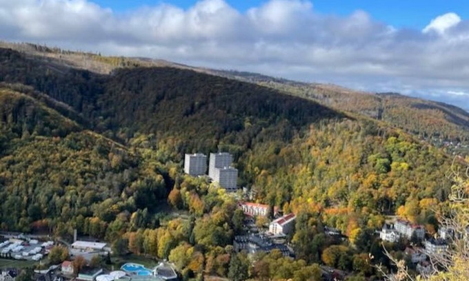 Bad Harzburg Apartment | Ferienwohnung Carpe Diem -nutze den Tag-