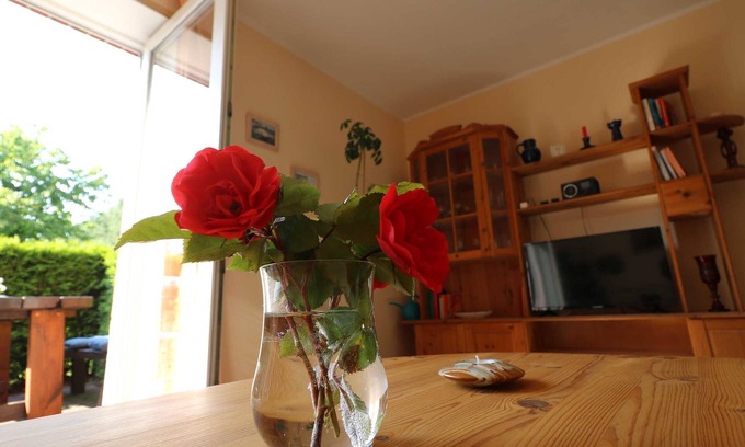 Sellin Apartment | Ferienwohnung Möwe - Ferienwohnungen Se-lf