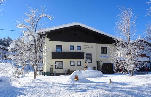 Hochfilzen Apartment | Ferienwohnung Mitterherzog