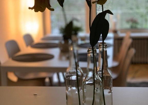 Bahnhofsvorstadt Apartment | Ferienwohnung Parkblick