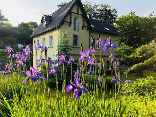 Siebenlehn Apartment | Ferienwohnungen Siebenlehn am Romanus Freibad