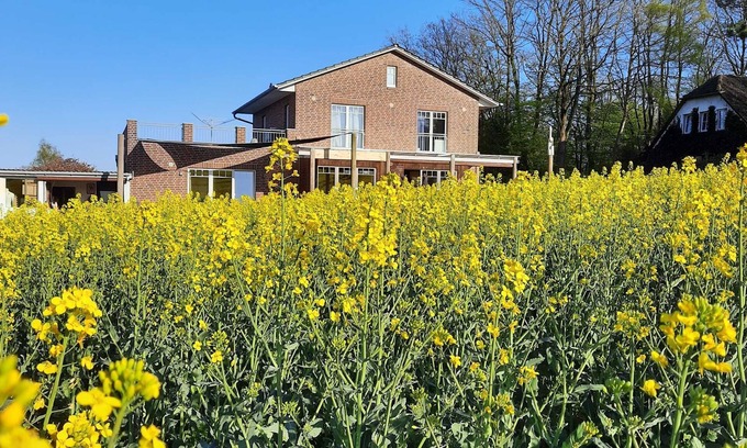 Reinbek Apartment | Fewo Seestern in Reinbek - Ferienwohnung Seestern