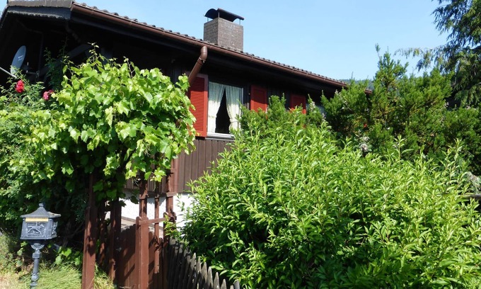 Kirchzell Apartment | Fewo Tannenhof 1 - Tannenhof 1