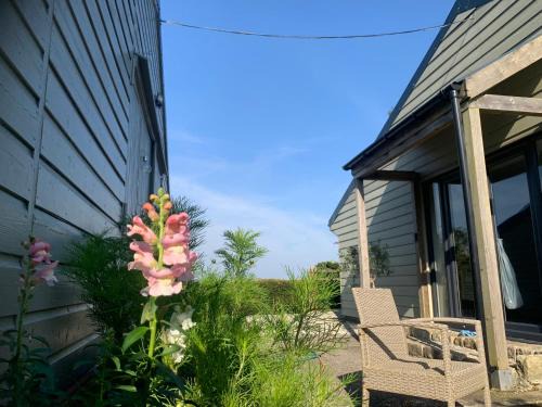 Liskeard House | Field View
