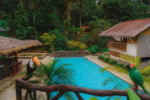 Ramonurcu Hotel | Finca Las Palmas Ecolodge