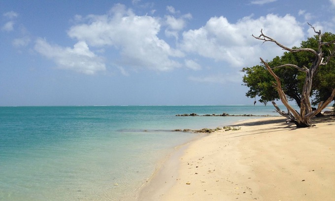 Buccoo Hotel | Fish Tobago Guesthouse