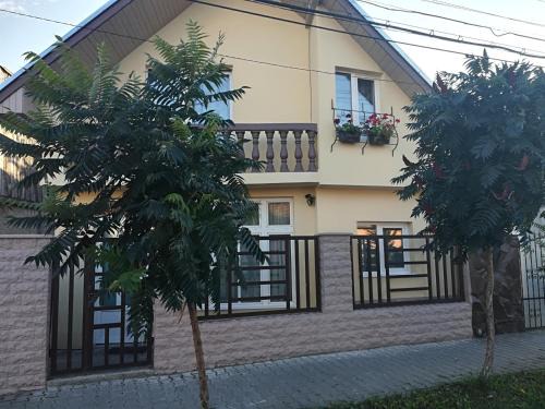 Ludus Villa | Five