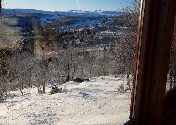 Al Municipality House | Fjellbu Two-bedroom Cottage