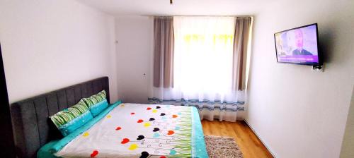 Center Apartment | Flamingo Apartment Sibiu