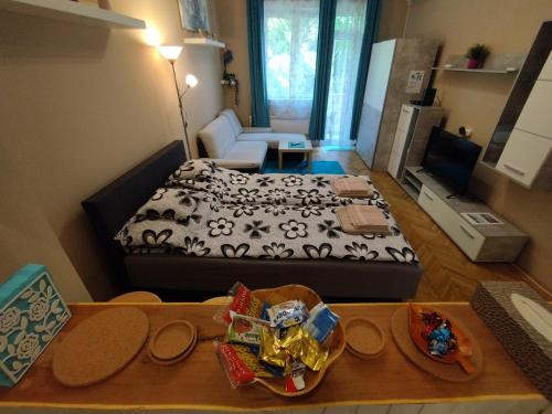 Csarnok negyed Apartment | Flower Studio Apartment