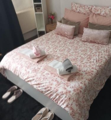 Les Puces de Saint-Ouen House | flowers room au coeur de saint Ouen parking gratuit