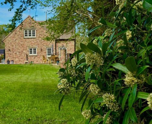 Coleford House | Flurry's Lodge