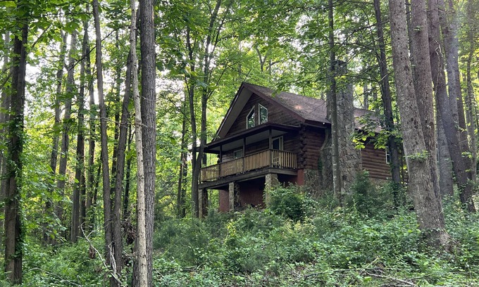 Traphill Cabin | Forest Cabin Moments from Stone Mountain
