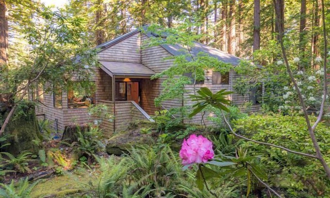 Sea Ranch House | Forest House: 2 BR, 3 BA House in The Sea Ranch, Sleeps 4