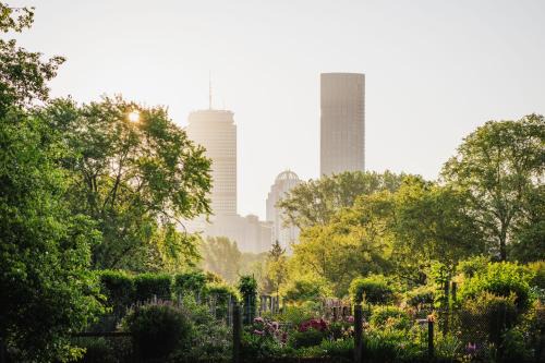 Back Bay Hotel | Four Seasons Hotel One Dalton Street, Boston