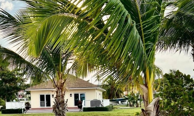 Rolleville Villa | Frangipani BeachFront Villa just steps away from the most beautiful beach!!!!