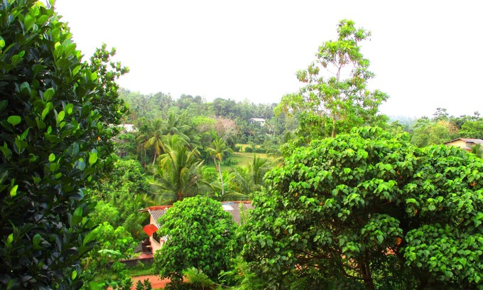 Kalutara House | Fresh Air Villa Guest House