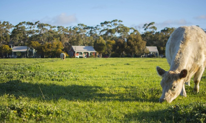 Freshwater Creek Cottage | Freshwater Creek Cottages and Farm Stay