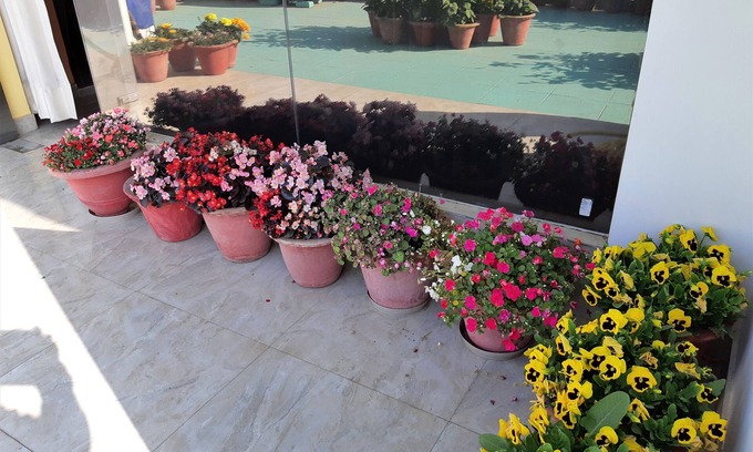Gomti Nagar Villa | Fully Furnished 1BHK, Unit SA2 for families - room, lobby, kitchen, bathroom