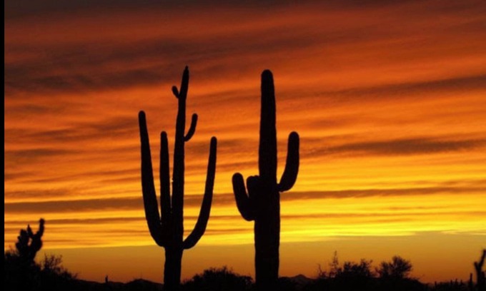 Cottonflower House | FUN IN THE ARIZONA SUN! HEATED POOL! POOL RESURFACED AND RETILED JUNE 2025 😁