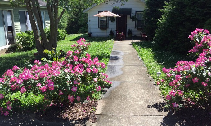 Lynn Cottage | Furnished,1bed 1bath cozy cottage full kitchen and laundry Monthly rentals avail