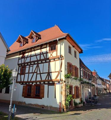 Bad Bergzabern House | Gästehaus Merlin mit Saunabereich