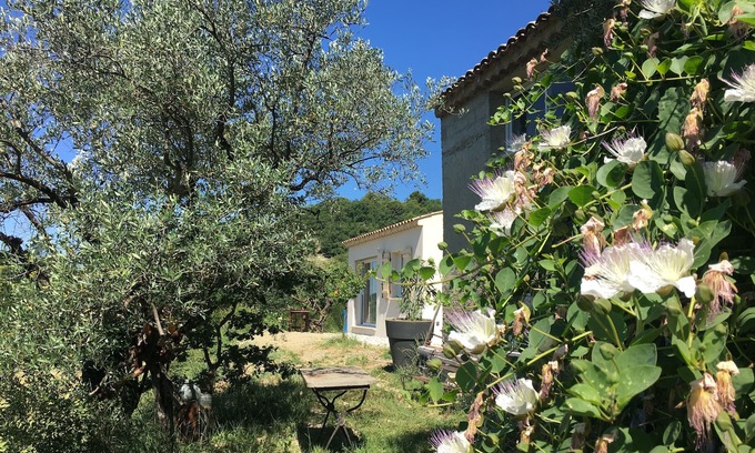 Mollans-sur-Ouveze House | Gîte 10 minutes from Vaison la Romaine