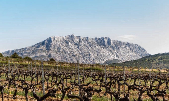 Le Tholonet Apartment | Gîte au milieu des Vignes - Syrah