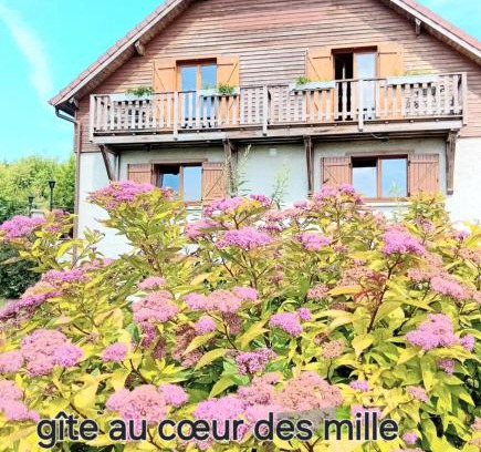 Saint-Bresson House | gîte des 1000 étangs