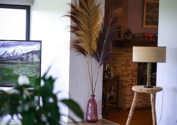 Salvagnac Villa | Gîte Villa Blancal Location Vacances dans le Tarn 81