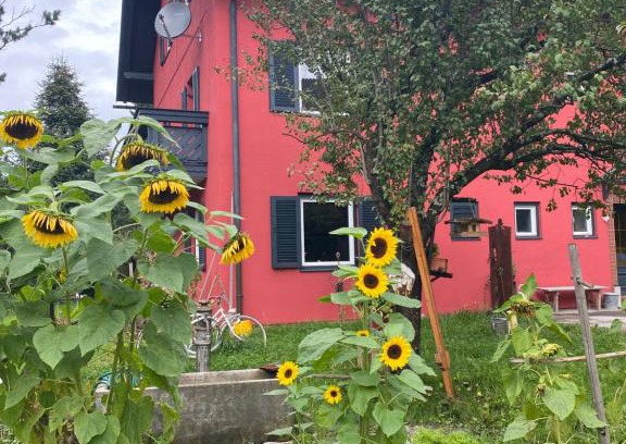 Feld am See Apartment | Gartenappartement Schaffler