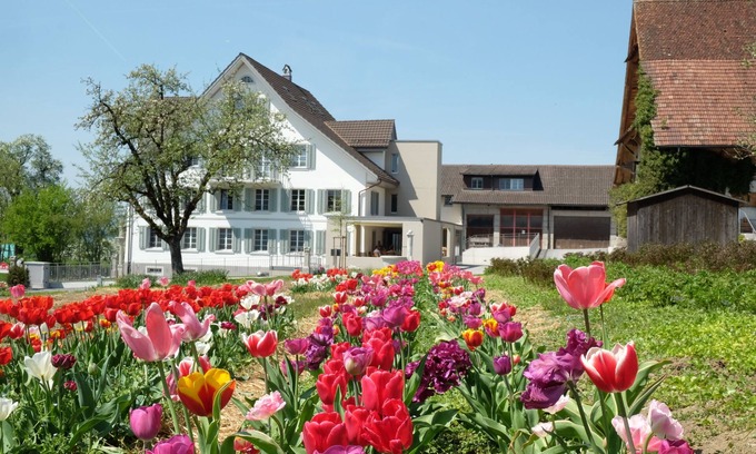 Oberlunkhofen House | Gasthaus zum Bauernhof