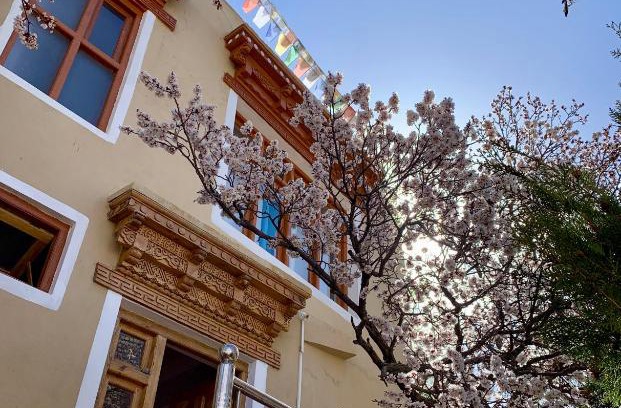 Leh House | Gaywoo Guest House