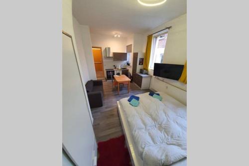Giebichenstein Apartment | Gemütliches Apartment neben der Burg