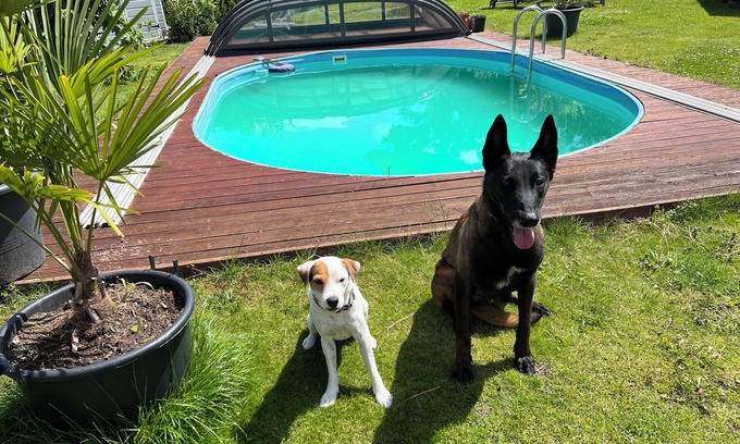 Falkensee Bed & Breakfast | Gemütliches Zimmer in Falkensee