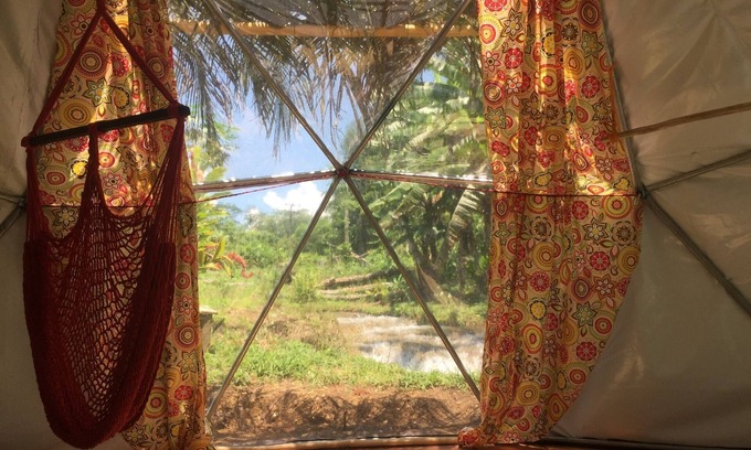 Lacanja Cabin | Geodesic Domes In The Jungle