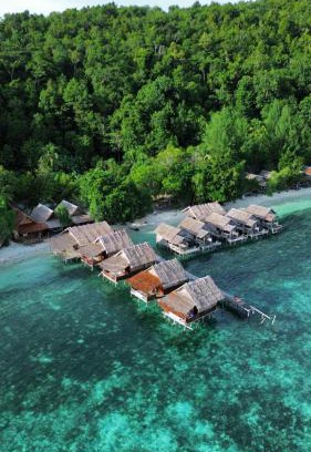 Raja Ampat House | Gibran guest house